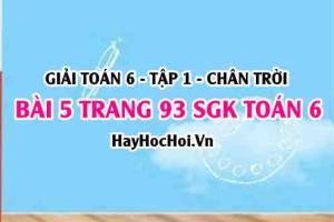 Giải bài 5 trang 93 Toán 6 Tập 1 SGK Chân trời sáng tạo
